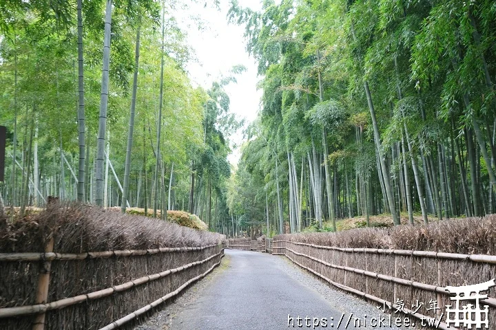 【京都】洛西竹林公園(洛西口竹林小徑)-沒有嵐山人擠人般的竹林公園