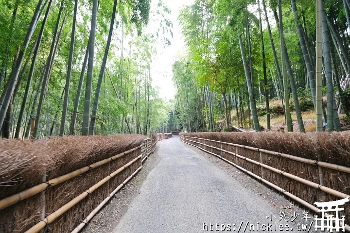 【京都】洛西竹林公園(洛西口竹林小徑)-沒有嵐山人擠人般的竹林公園