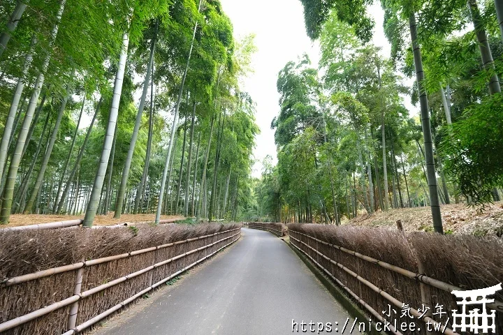 【京都】洛西竹林公園(洛西口竹林小徑)-沒有嵐山人擠人般的竹林公園