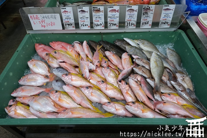【沖繩】泡瀨漁港吃龍蝦