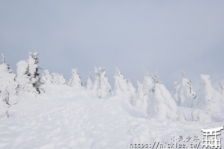 青森景點-再訪八甲田山樹冰-尋找冬天出沒的雪怪