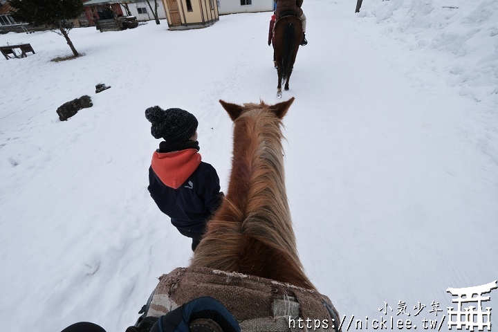 騎馬體驗-wildmustangs