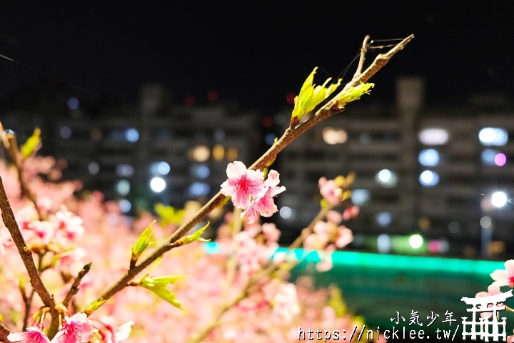 期望成為台灣的目黑川-東湖樂活公園-樂活夜櫻祭