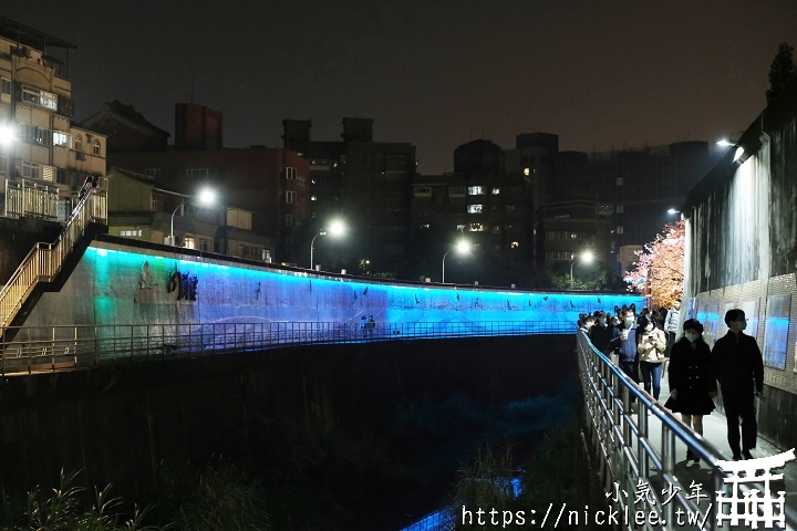 期望成為台灣的目黑川-東湖樂活公園-樂活夜櫻季