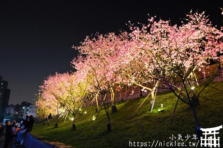 期望成為台灣的目黑川-東湖樂活公園-樂活夜櫻季