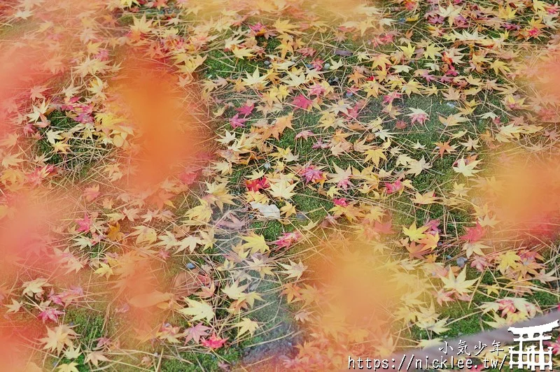 【京都景點】南禪寺-春天賞櫻,秋天賞楓,9公尺高的水路閣已成網紅景點