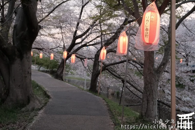 【奈良賞櫻景點推薦】佐保川櫻花隧道-總長有5公里以上的奈良賞櫻名所,晚上還有夜櫻