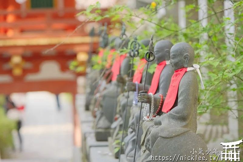 【奈良賞櫻景點】櫻大佛-壷阪寺(南法華寺)-10公尺高,被櫻花包圍的大佛