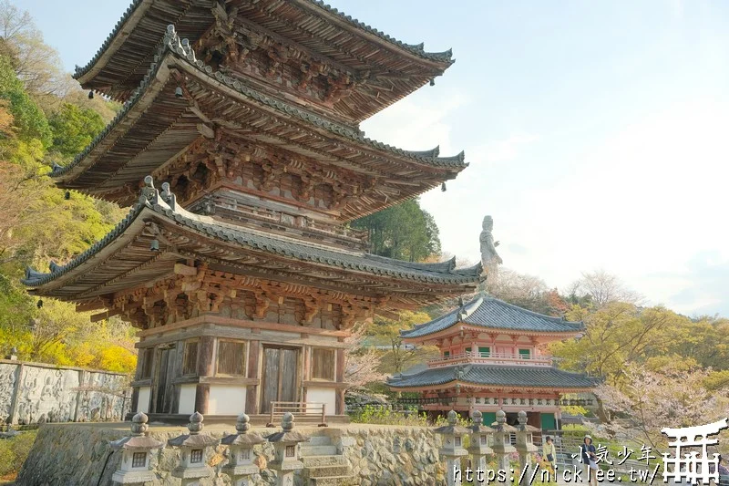 【奈良賞櫻景點】櫻大佛-壷阪寺(南法華寺)-10公尺高,被櫻花包圍的大佛
