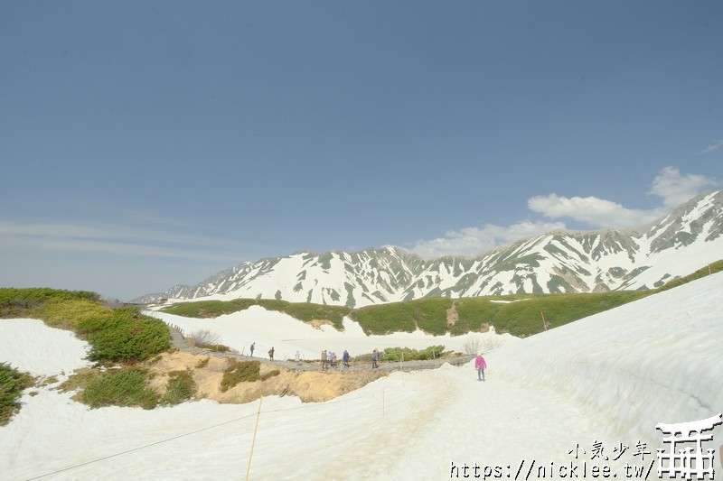 立山黑部-御庫裏池-盛夏避暑的好地方