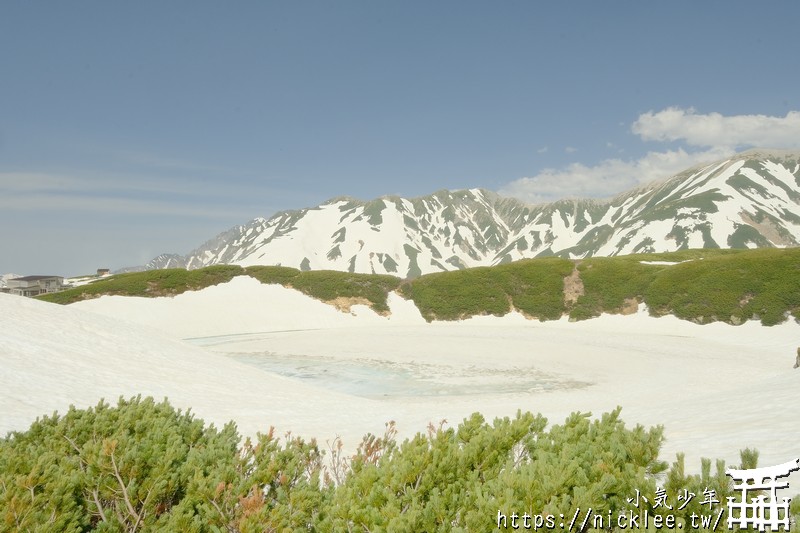 立山黑部-御庫裏池-盛夏避暑的好地方