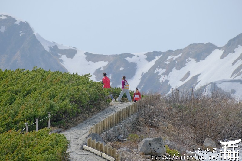 立山黑部-御庫裏池-盛夏避暑的好地方