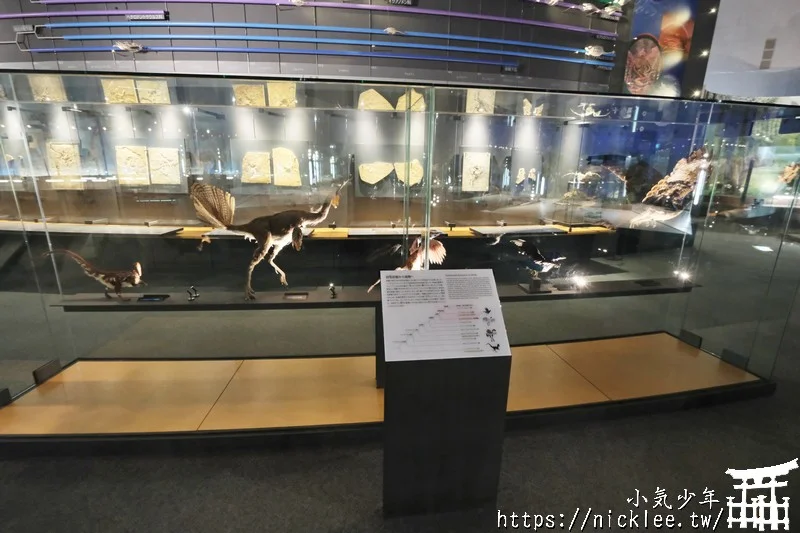 福井景點-福井縣立恐龍博物館-可以親眼看到恐龍化石，還有超真實恐龍復原模型