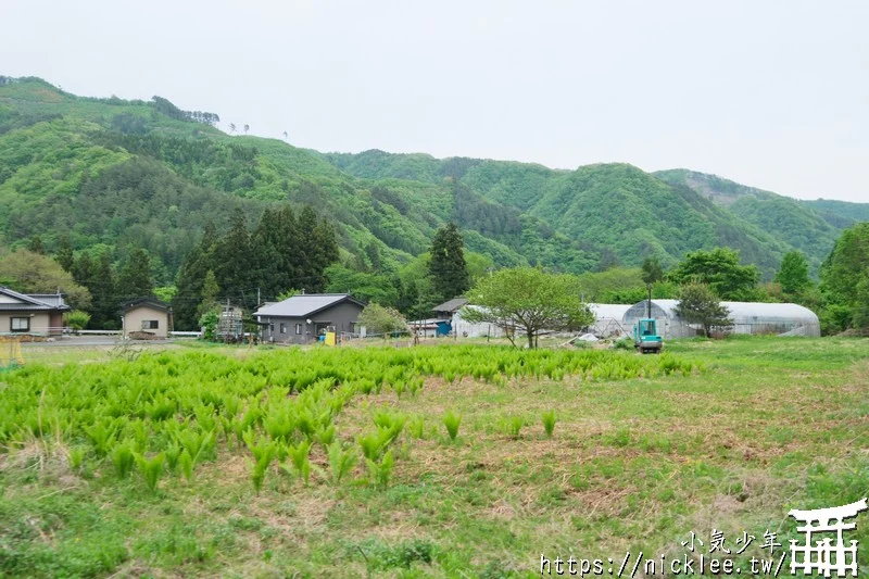 岩手宮古市景點與美食整理