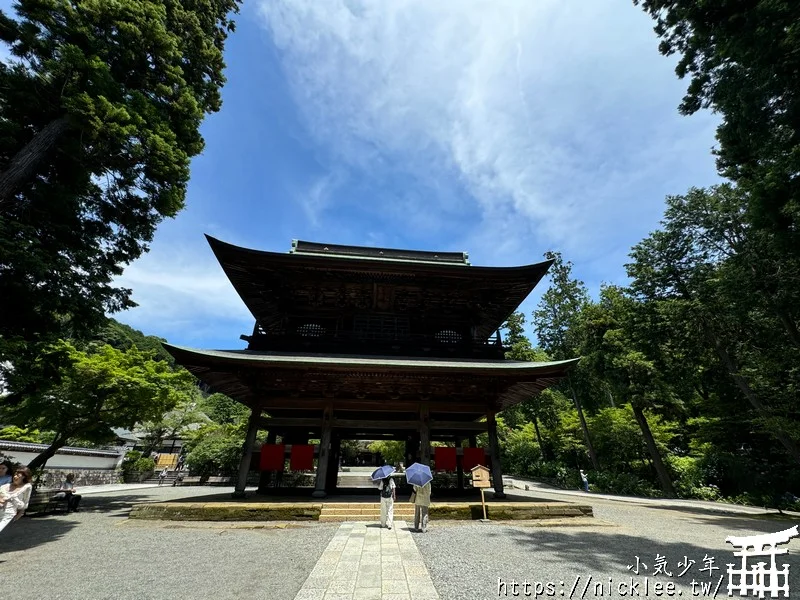 鎌倉圓覺寺-遊客不多的鎌倉紫陽花景點,遊客是明月院的5分之1不到