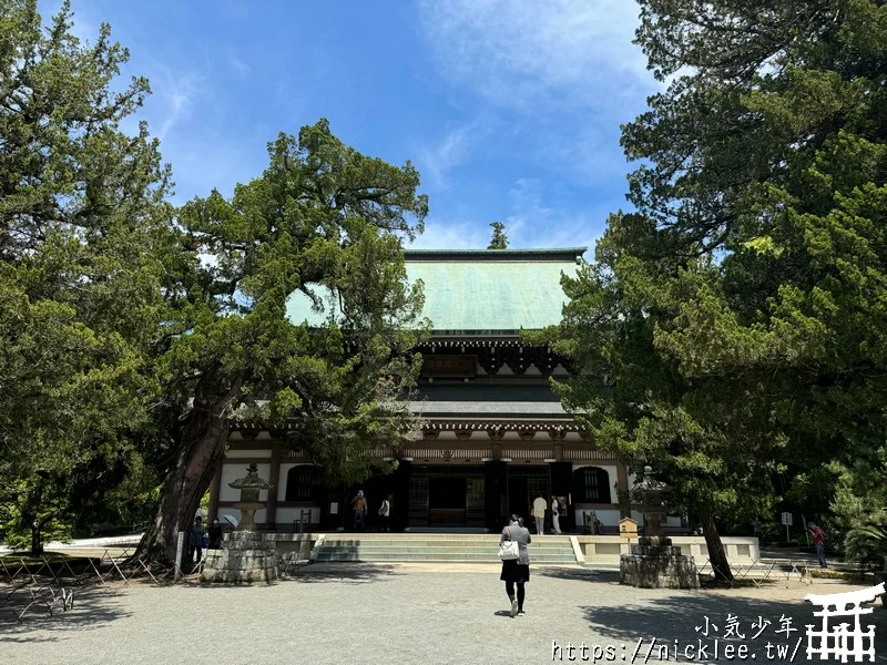 鎌倉圓覺寺-遊客不多的鎌倉紫陽花景點,遊客是明月院的5分之1不到