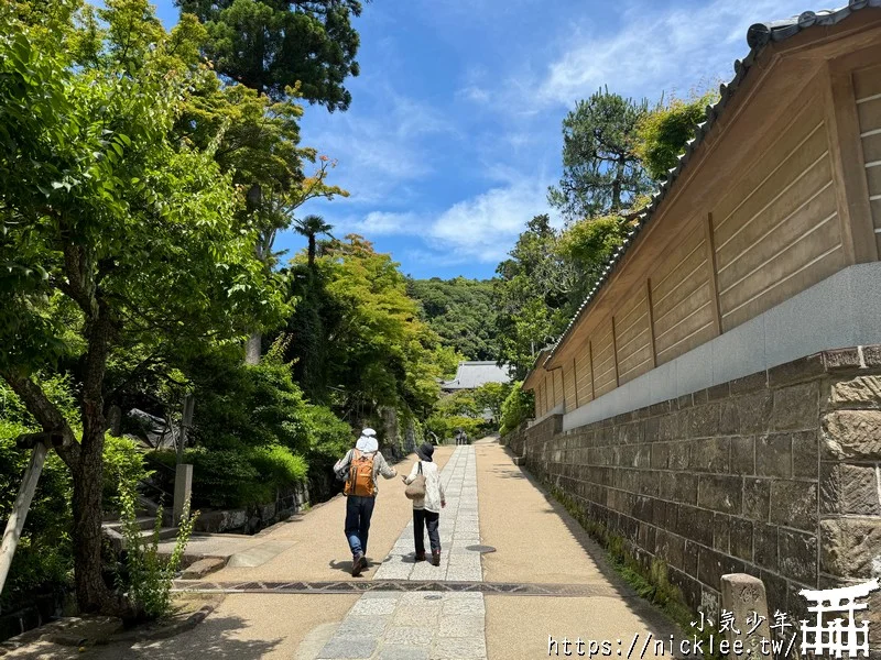 鎌倉圓覺寺-遊客不多的鎌倉紫陽花景點,遊客是明月院的5分之1不到