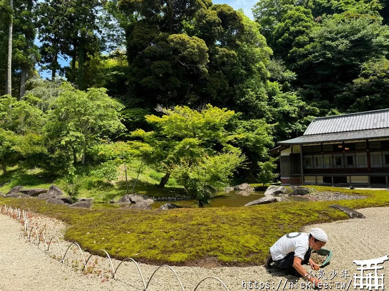 鎌倉圓覺寺-遊客不多的鎌倉紫陽花景點,遊客是明月院的5分之1不到