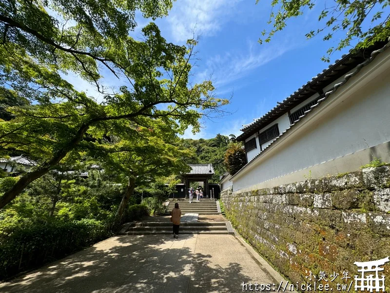 鎌倉圓覺寺-遊客不多的鎌倉紫陽花景點,遊客是明月院的5分之1不到