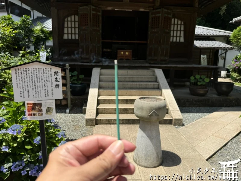 鎌倉圓覺寺-遊客不多的鎌倉紫陽花景點,遊客是明月院的5分之1不到