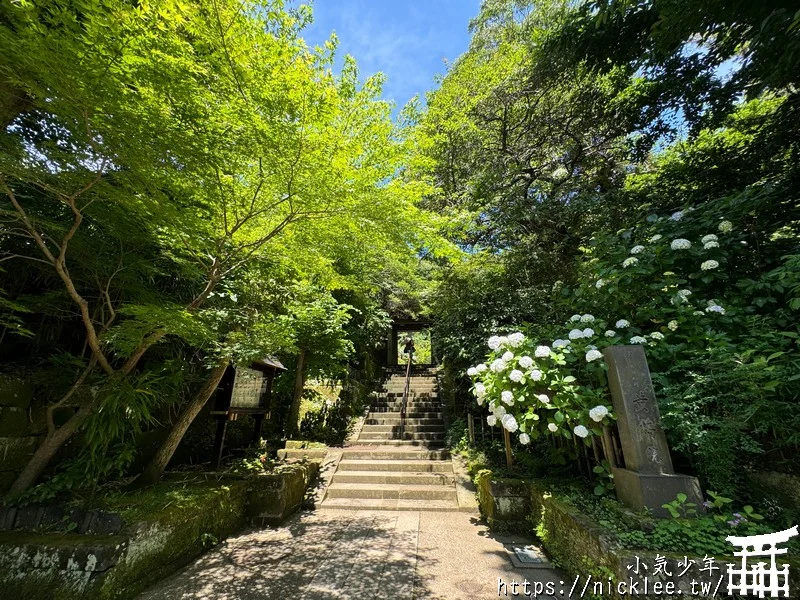 鎌倉圓覺寺-遊客不多的鎌倉紫陽花景點,遊客是明月院的5分之1不到