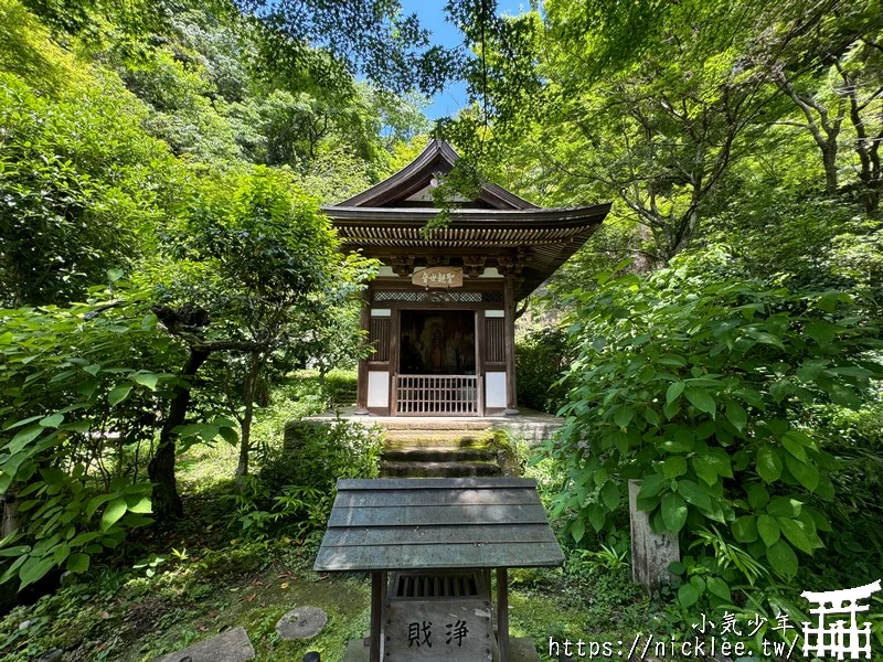 鎌倉圓覺寺-遊客不多的鎌倉紫陽花景點,遊客是明月院的5分之1不到