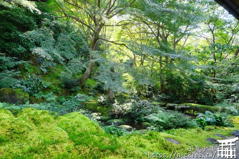 京都八瀨瑠璃光院-季節限定開放,以獨特的紅葉倒影聞名