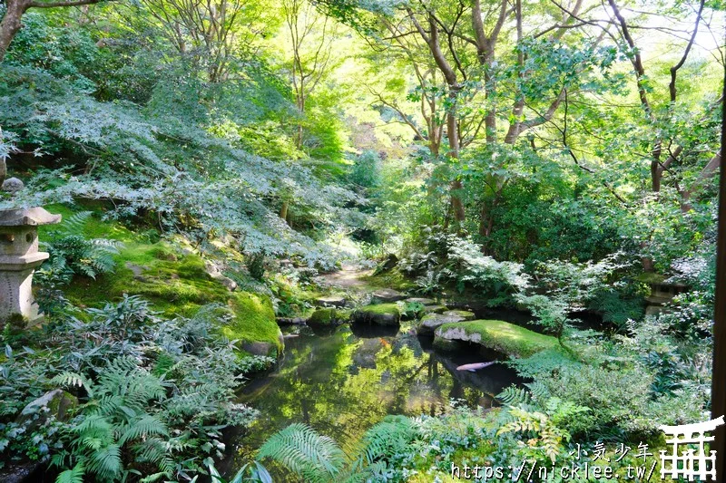 京都八瀨瑠璃光院-季節限定開放,以獨特的紅葉倒影聞名