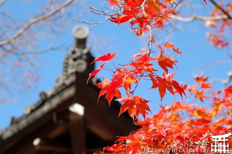 京都嵐山介紹|嵐山交通|嵐山景點|嵐山美食|嵐山櫻花|嵐山楓葉|嵐山小火車|保津峽遊船|嵐山人力車|嵐山和服