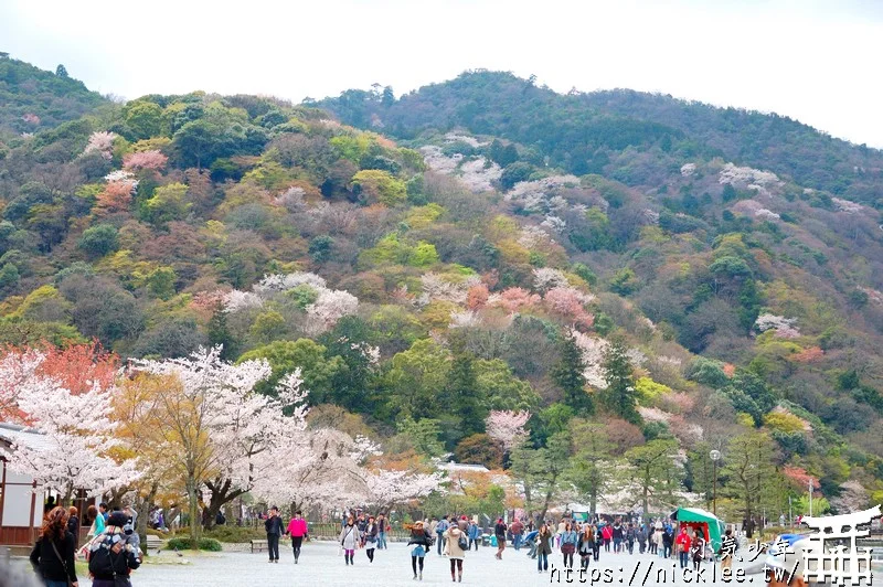 京都嵐山介紹|嵐山交通|嵐山景點|嵐山美食|嵐山櫻花|嵐山楓葉|嵐山小火車|保津峽遊船|嵐山人力車|嵐山和服