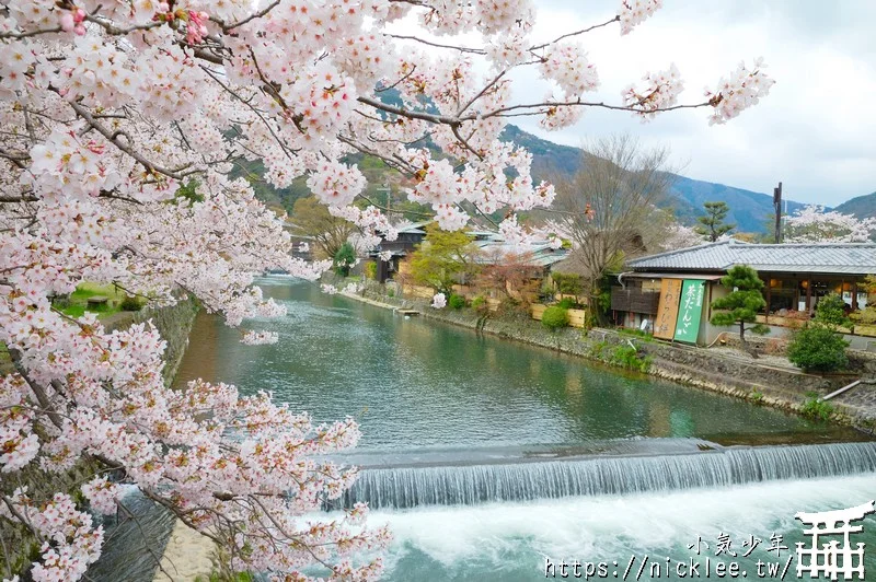 京都嵐山介紹|嵐山交通|嵐山景點|嵐山美食|嵐山櫻花|嵐山楓葉|嵐山小火車|保津峽遊船|嵐山人力車|嵐山和服