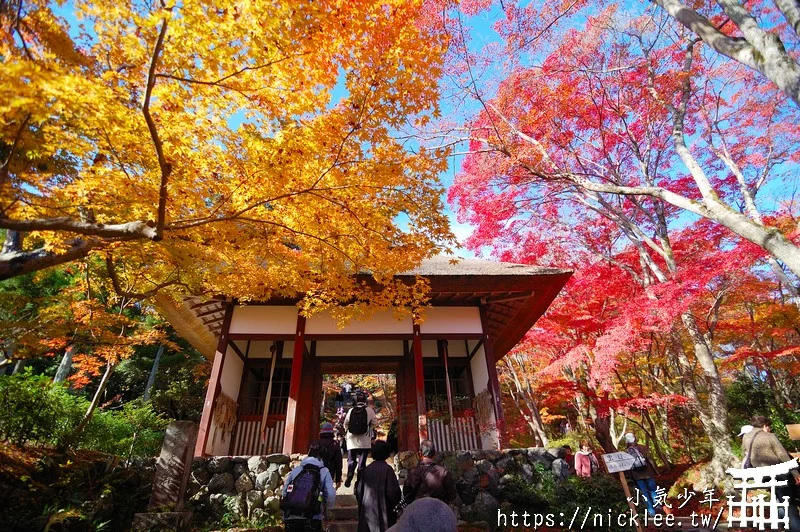 京都嵐山介紹|嵐山交通|嵐山景點|嵐山美食|嵐山櫻花|嵐山楓葉|嵐山小火車|保津峽遊船|嵐山人力車|嵐山和服