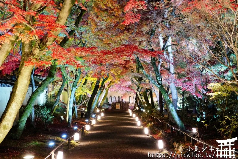 京都嵐山介紹|嵐山交通|嵐山景點|嵐山美食|嵐山櫻花|嵐山楓葉|嵐山小火車|保津峽遊船|嵐山人力車|嵐山和服