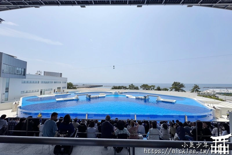 神戶景點-神戶須磨海洋世界-海豚館,虎鯨館必看|門票,營業時間,交通方法
