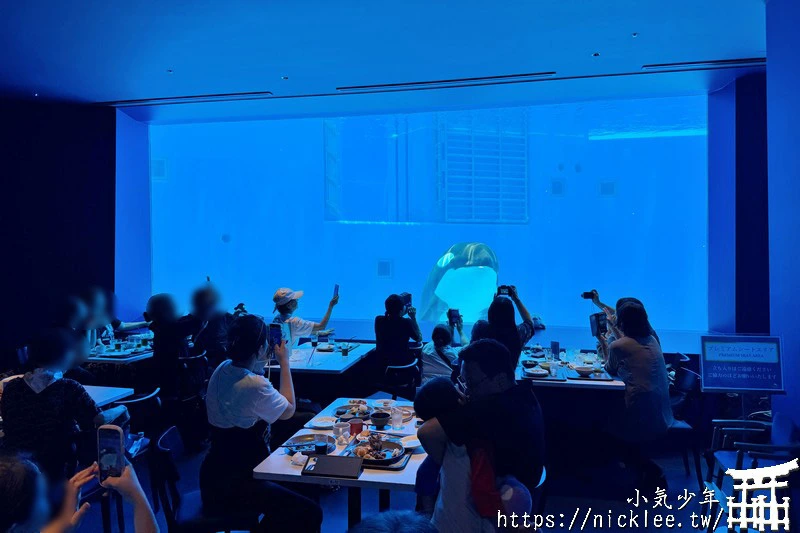 神戶景點-神戶須磨海洋世界-海豚館,虎鯨館必看|門票,營業時間,交通方法