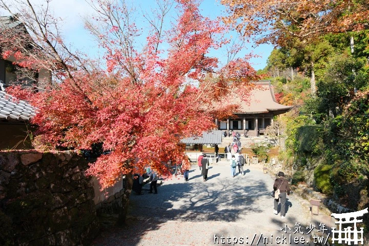 大原寶泉院-靜謐幽雅的庭園,有空可與三千院一起安排