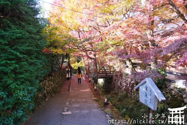 大原寶泉院-靜謐幽雅的庭園,有空可與三千院一起安排