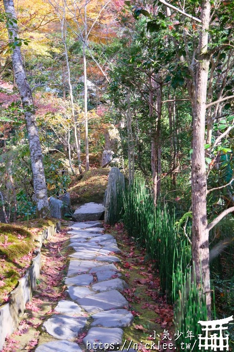 大原寶泉院-靜謐幽雅的庭園,有空可與三千院一起安排