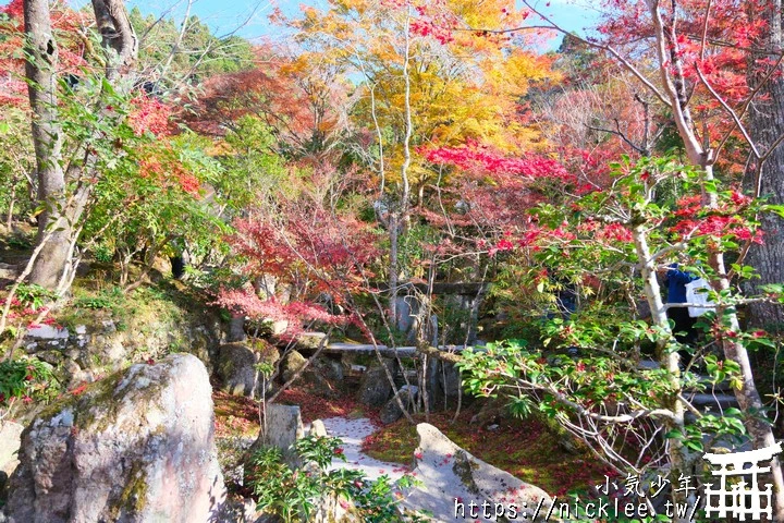 大原寶泉院-靜謐幽雅的庭園,有空可與三千院一起安排