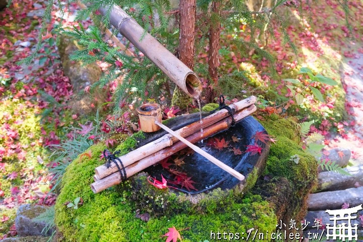 大原寶泉院-靜謐幽雅的庭園,有空可與三千院一起安排