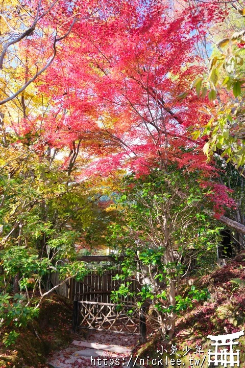 大原寶泉院-靜謐幽雅的庭園,有空可與三千院一起安排