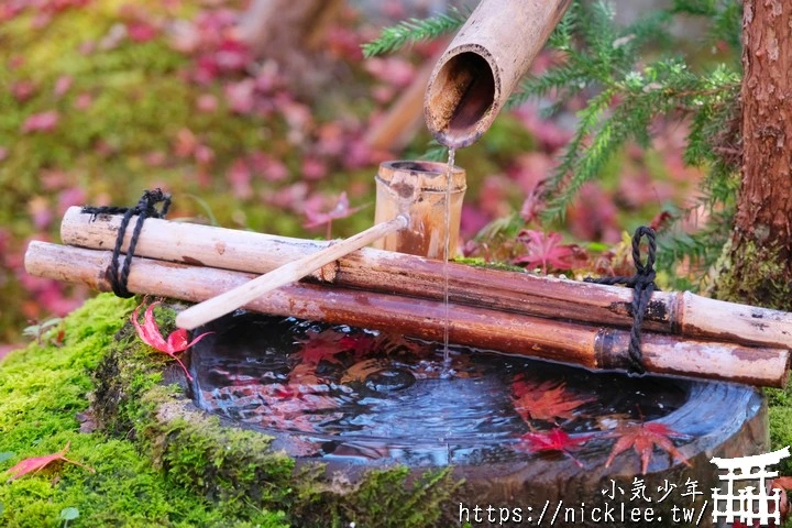 大原寶泉院-靜謐幽雅的庭園,有空可與三千院一起安排