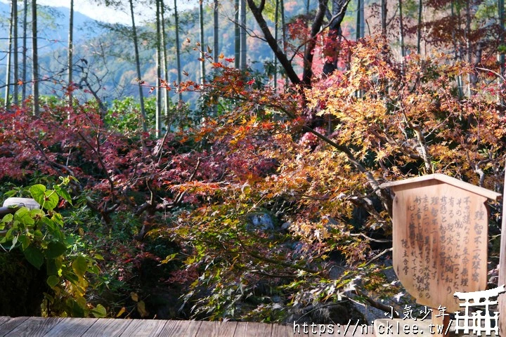 大原寶泉院-靜謐幽雅的庭園,有空可與三千院一起安排