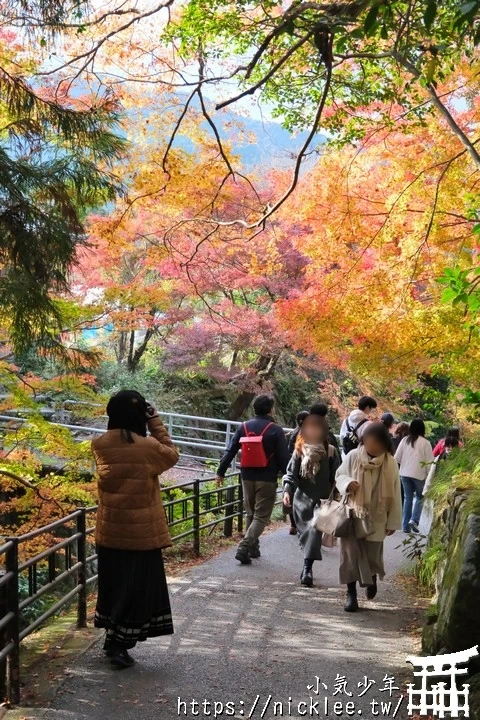大原寶泉院-靜謐幽雅的庭園,有空可與三千院一起安排