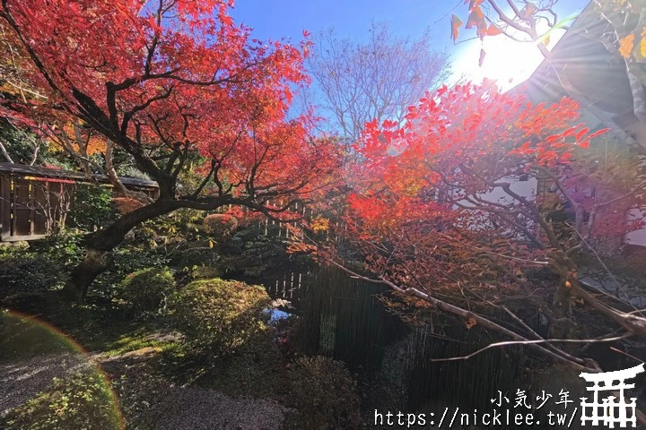 大原寶泉院-靜謐幽雅的庭園,有空可與三千院一起安排