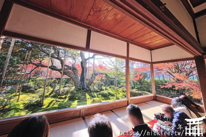 大原寶泉院-靜謐幽雅的庭園,有空可與三千院一起安排