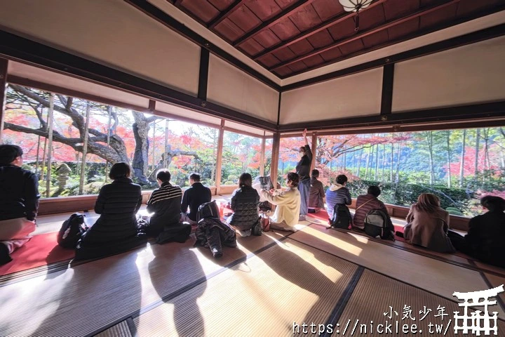 大原寶泉院-靜謐幽雅的庭園,有空可與三千院一起安排