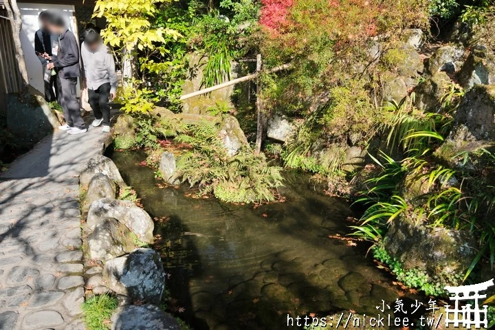 大原寶泉院-靜謐幽雅的庭園,有空可與三千院一起安排