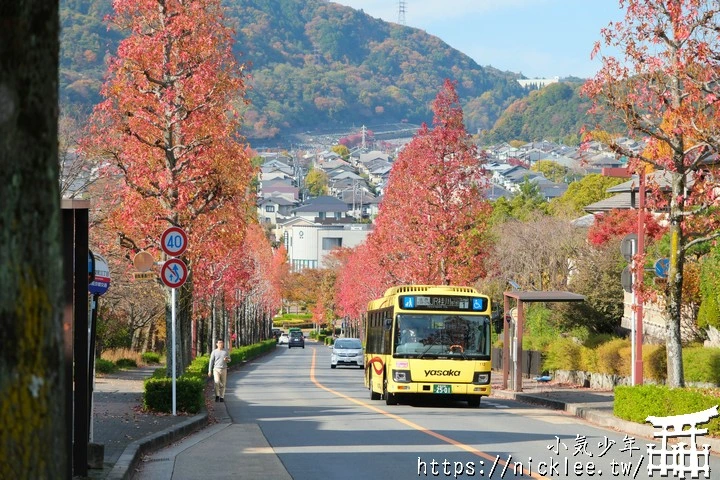 桂坂紅葉並木道-京都最先變紅的賞楓景點
