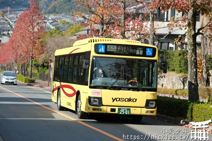 桂坂紅葉並木道-京都最先變紅的賞楓景點